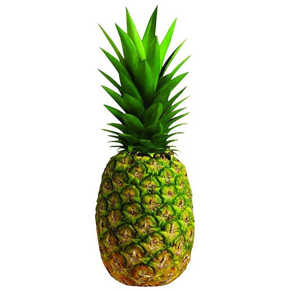 Pineapple (Ananas) 1Pc